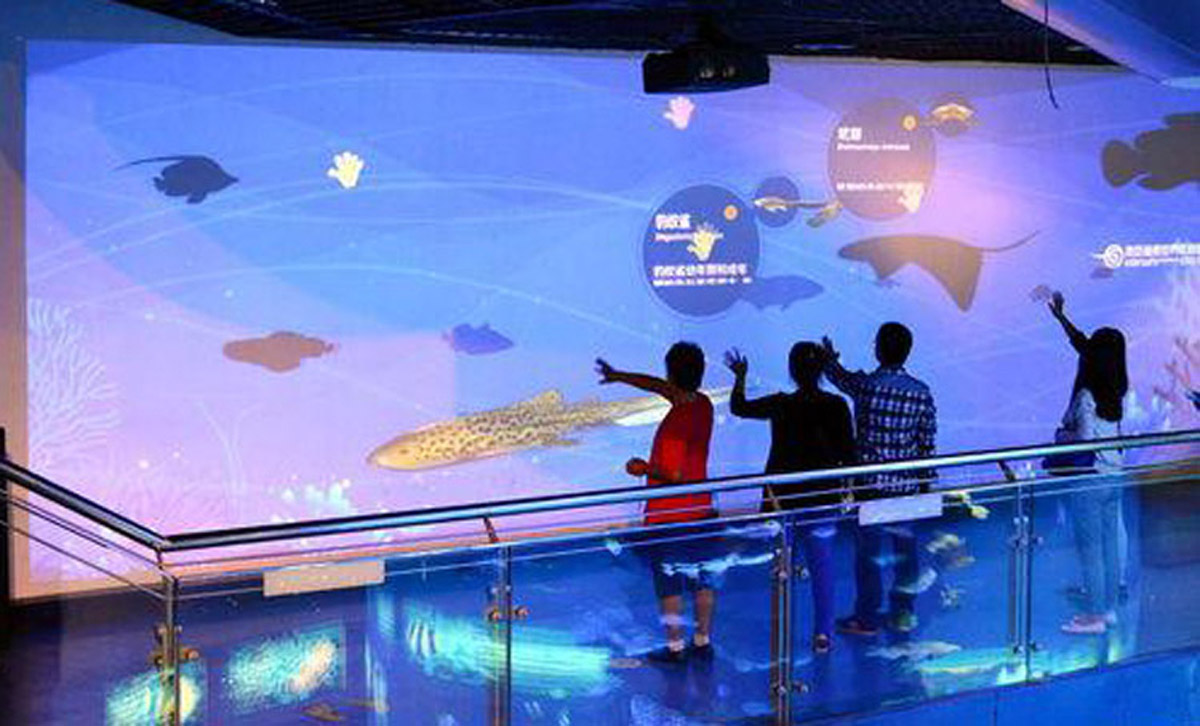 模拟体验海底世界科普互动墙.jpg